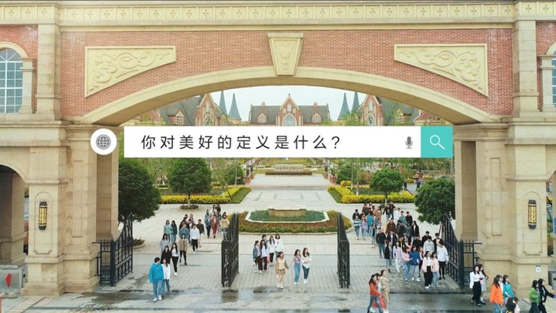 专业团队优势：**